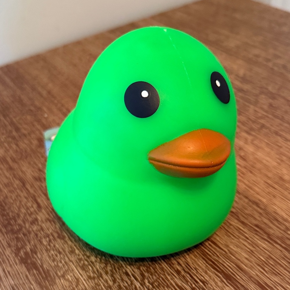 Green squishy Duck Toy -